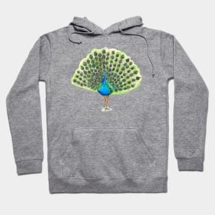 Peacock Fan Hoodie